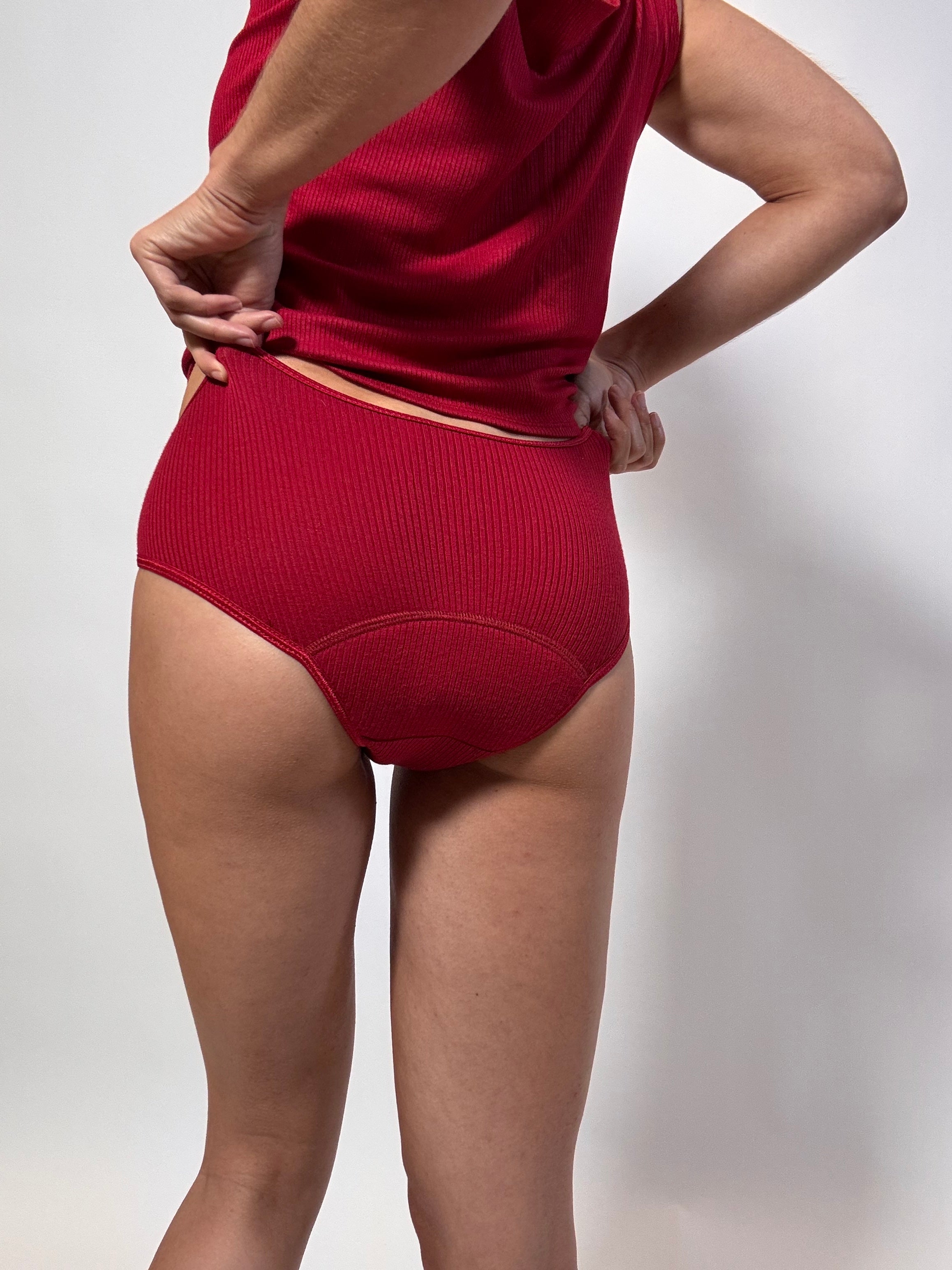ScarletBriefPeriodUnderwearBackImage