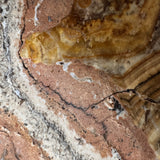 The Earth Bowl | Desert Jasper